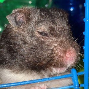 Meet your Posher, Jackie